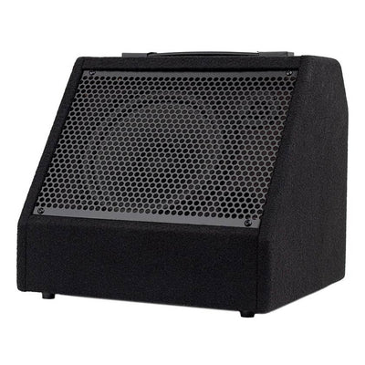 Hayman DDM-30 digital drum monitor