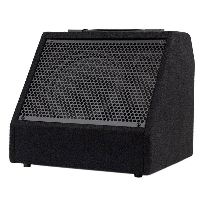 Hayman DDM-30 digital drum monitor