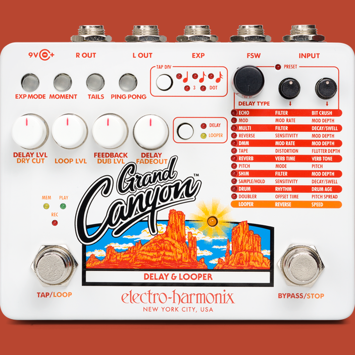 Electro Harmonix GRAND CANYON Multi-Delay & 16-minutes Looper with presets