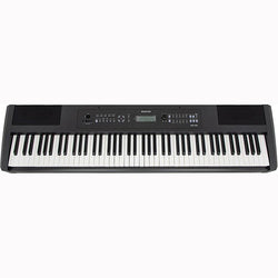 Boston DSP-488 88-gewogen toetsen Keyboard