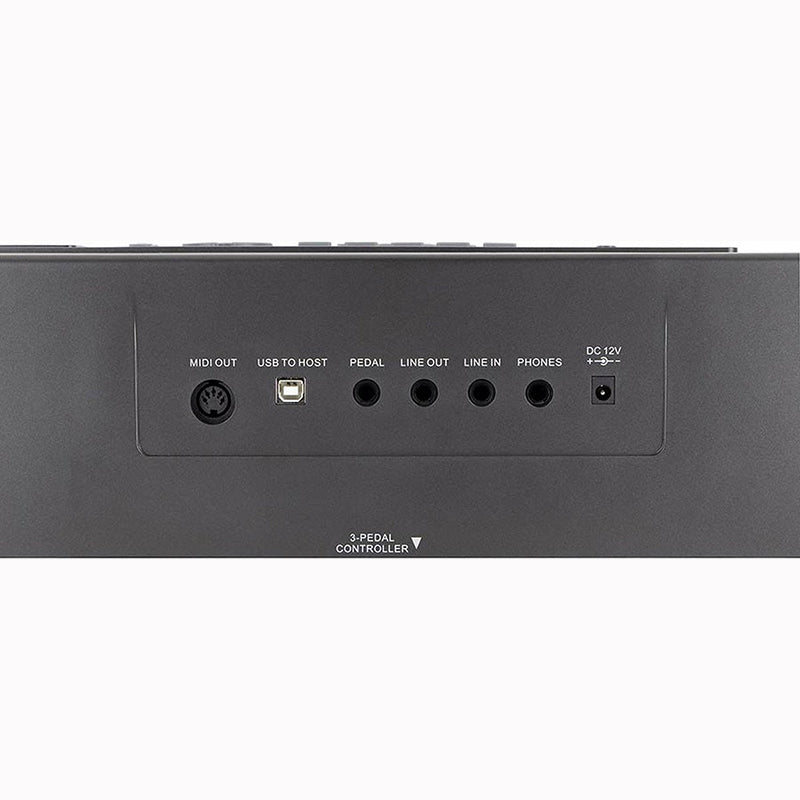 Boston DSP-488 88-gewogen toetsen Keyboard westerhaven-muziek