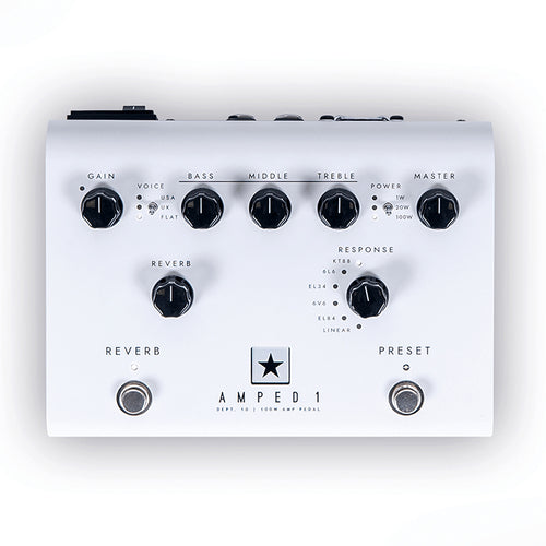 Blackstar Dept.10 Amped 1 westerhaven-muziek
