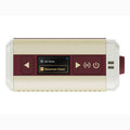HoTone PULZE MINI Bluetooth digital modeling amplifier westerhaven-muziek