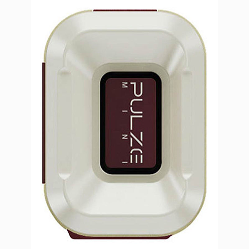 HoTone PULZE MINI Bluetooth digital modeling amplifier westerhaven-muziek