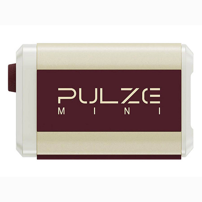 HoTone PULZE MINI Bluetooth digital modeling amplifier westerhaven-muziek