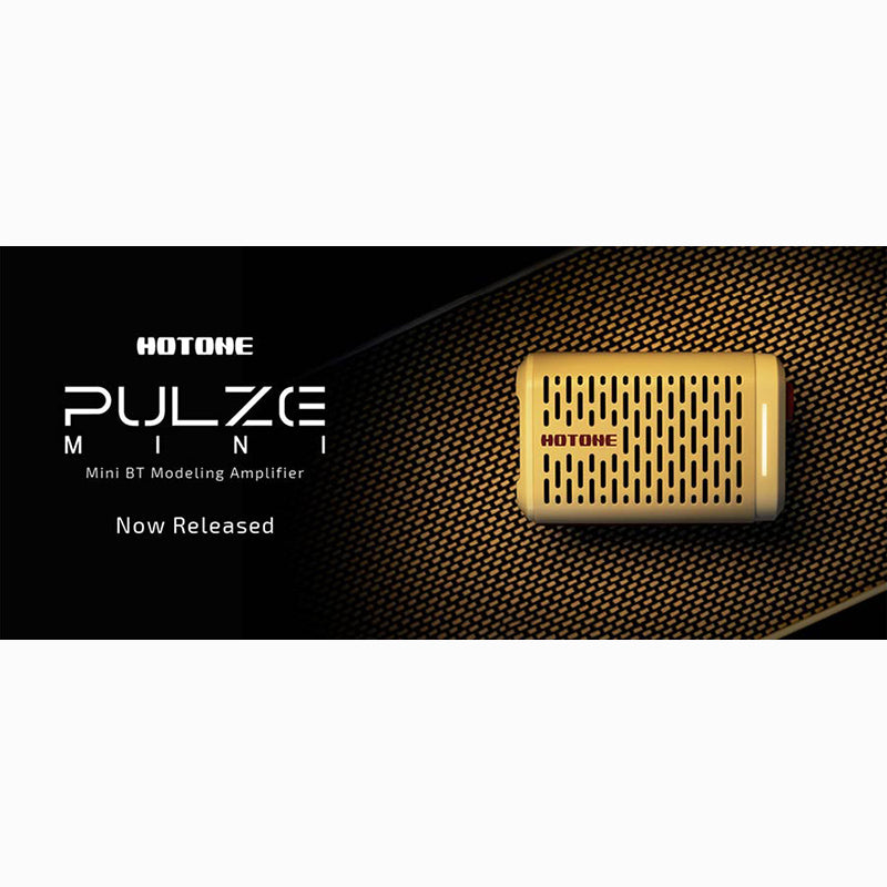 HoTone PULZE MINI Bluetooth digital modeling amplifier westerhaven-muziek