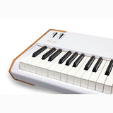 Arturia AstroLab 88 Ultimate Performance Keyboard