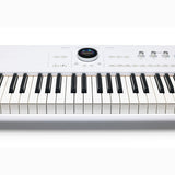 Arturia AstroLab 88 Ultimate Performance Keyboard