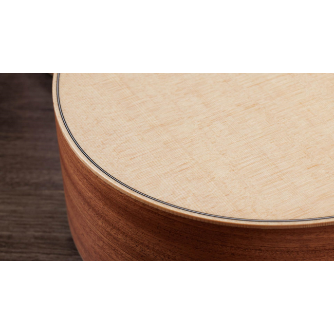 Taylor GS MINI reisgitaar met Taylor gigbag (B-stock)