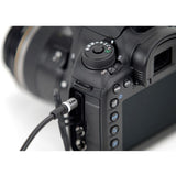 IK Multimedia Paraphonic Dual Filter Analog Synthesizer