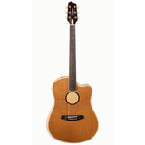 LR Baggs Baggs AEG-1 Acoustic Electric Guitar-Sunburst