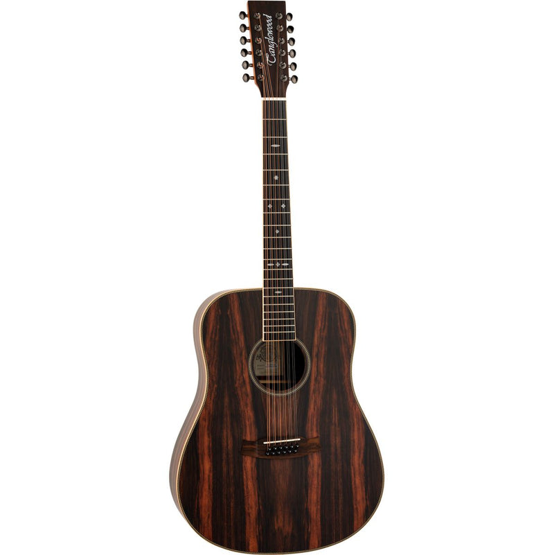 Tanglewood Reunion Pro 5-12 AE Ebony