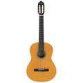 Valencia VC204 Klassiek gitaar 4/4 westerhaven-muziek