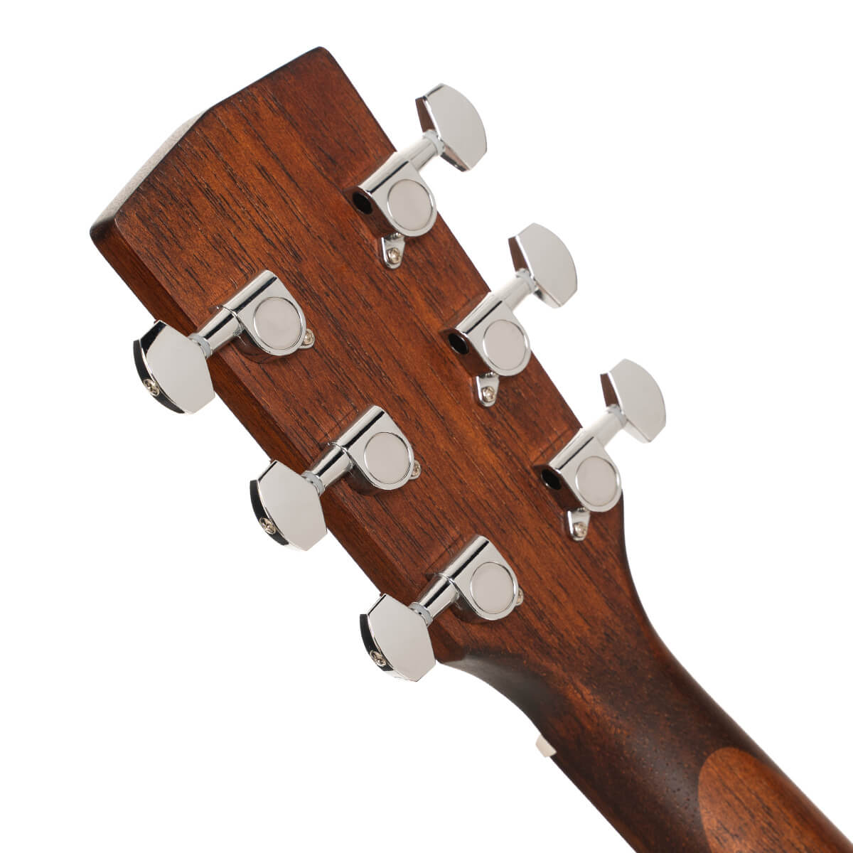 Cort Earth 60 Natural Gloss + Hoes westerhaven-muziek