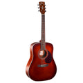 Cort Earth 70 Brown westerhaven-muziek