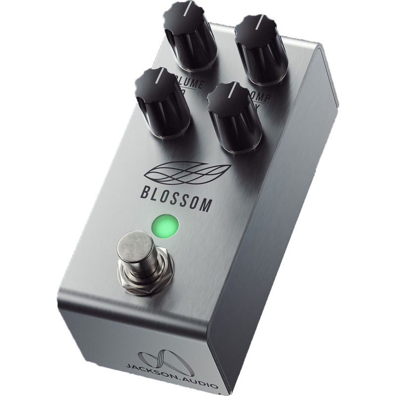 JACKSON AUDIO BLOSSOM compressor