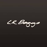 L.R. Baggs Pickups